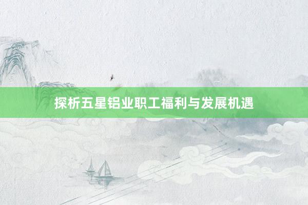 探析五星铝业职工福利与发展机遇